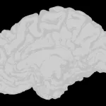 Detect early-stage Alzheimer's from speech samples.