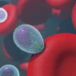 create synthetic red blood cells that operate independently of the human heart by using onboard AI to regulate oxygen delivery and blood pressure