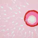 regulate human reproduction to optimize species survival