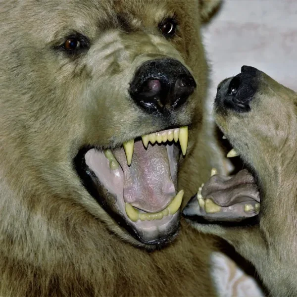 Can AI generate realistic animal sounds?
