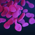 predict sickle cell crisis episodes from wearable device biometrics with 12-hour lead time