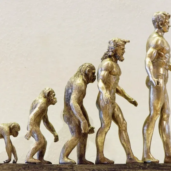 Může umělá inteligence posílit a urychlit lidskou evoluci?