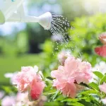 simulate the growth of a plant based on sunlight hours and watering schedule