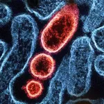 predict the spread of an infectious disease in real time