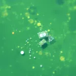 AI illustration: detect microplastic particles in seawater from drone-captured hyperspectral imagery