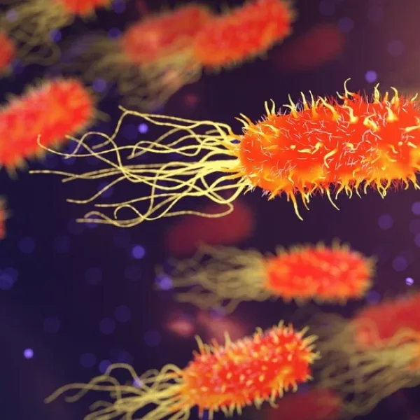 Can AI help eradicate certain diseases purely by helping medical staff act early upon data anaysis?